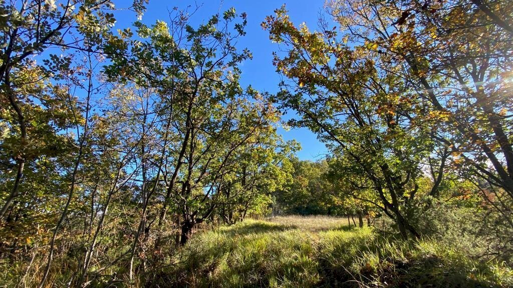 IMG-20231104-WA0019.jpg - Villa Loc Ormei, Ponzone - foto 1