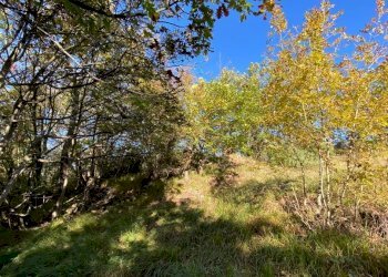 IMG-20231104-WA0024.jpg - Villa Loc Ormei, Ponzone - foto 6