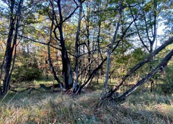 IMG-20231104-WA0025.jpg - Villa Loc Ormei, Ponzone - foto 7