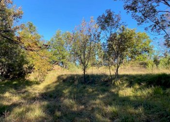 IMG-20231104-WA0027.jpg - Villa Loc Ormei, Ponzone - foto 9