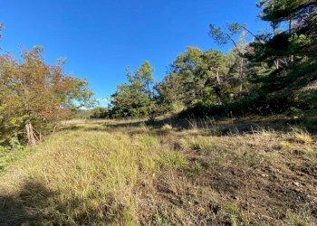 IMG-20231104-WA0029.jpg - Villa Loc Ormei, Ponzone - foto 11