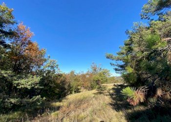 IMG-20231104-WA0030.jpg - Villa Loc Ormei, Ponzone - foto 12