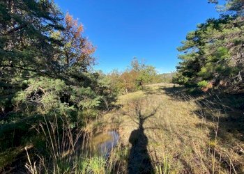 IMG-20231104-WA0031.jpg - Villa Loc Ormei, Ponzone - foto 13