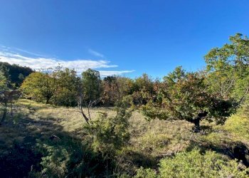 IMG-20231104-WA0032.jpg - Villa Loc Ormei, Ponzone - foto 14