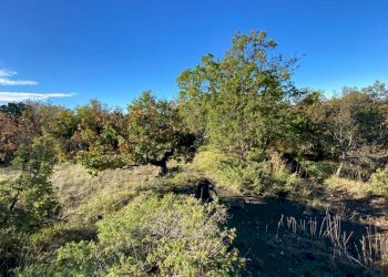 IMG-20231104-WA0033.jpg - Villa Loc Ormei, Ponzone - foto 15