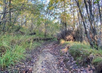 IMG-20231104-WA0034.jpg - Villa Loc Ormei, Ponzone - foto 16