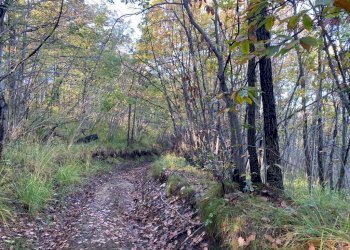 IMG-20231104-WA0035.jpg - Villa Loc Ormei, Ponzone - foto 17