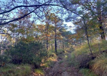 IMG-20231104-WA0036.jpg - Villa Loc Ormei, Ponzone - foto 18