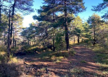 IMG-20231104-WA0037.jpg - Villa Loc Ormei, Ponzone - foto 19