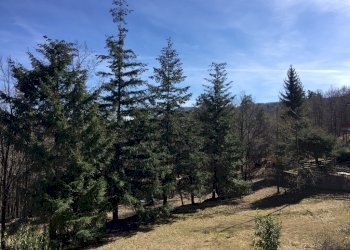 IMG_5736.JPG - Appartamento Urbe - foto 12