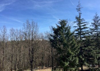 IMG_5737.JPG - Appartamento Urbe - foto 13