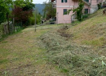 IMG_9077.JPG - Trilocale Tiglieto - foto 11