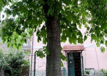 IMG_9084.JPG - Trilocale Tiglieto - foto 18