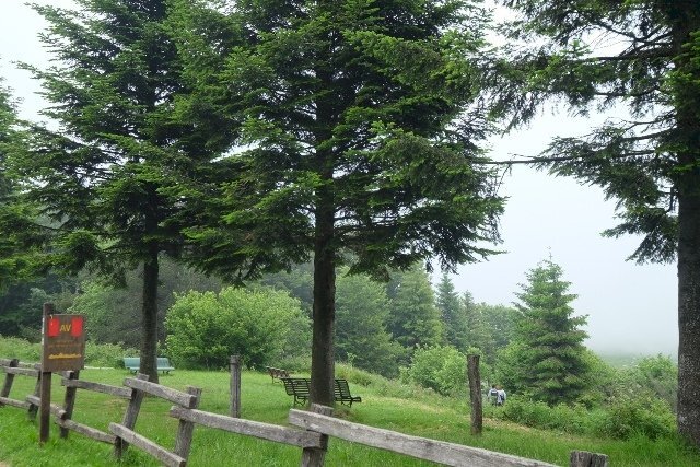 Rif 282 foto (23).JPG - Albergo - Struttura ricettiva Cogoleto - foto 3