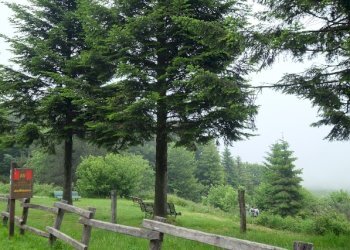 Rif 282 foto (23).JPG - Albergo - Struttura ricettiva Cogoleto - foto 3