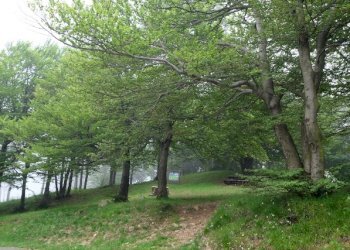 Rif 282 foto (26).JPG - Albergo - Struttura ricettiva Cogoleto - foto 4