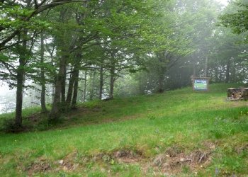 Rif 282 foto (25).JPG - Albergo - Struttura ricettiva Cogoleto - foto 14