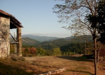 Rif 367 2.jpg - Rustic Pareto - photo 2