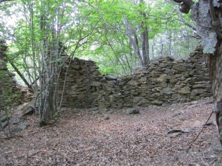 Rif 421.03.JPG - Agricultural land Sassello - photo 1