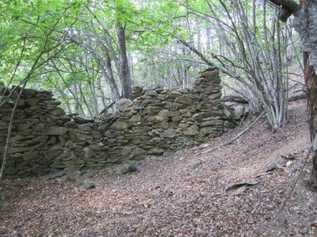 Rif 421.04.JPG - Agricultural land Sassello - photo 2