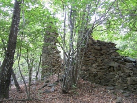 Rif 421.05.JPG - Agricultural land Sassello - photo 3