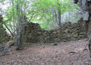 Rif 421.03.JPG - Terreno agricolo Sassello - foto 1