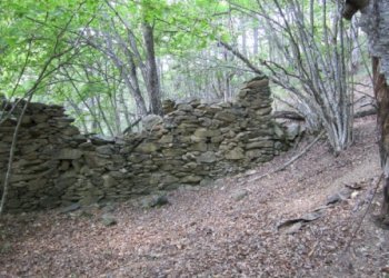 Rif 421.04.JPG - Terreno agricolo Sassello - foto 2