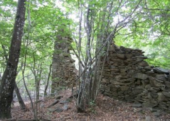 Rif 421.05.JPG - Terreno agricolo Sassello - foto 3