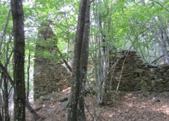 Rif 421.06.JPG - Terreno agricolo Sassello - foto 4