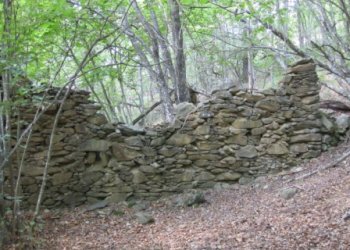 Rif 421.07.JPG - Terreno agricolo Sassello - foto 5