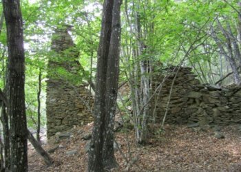 Rif 421.08.JPG - Terreno agricolo Sassello - foto 6