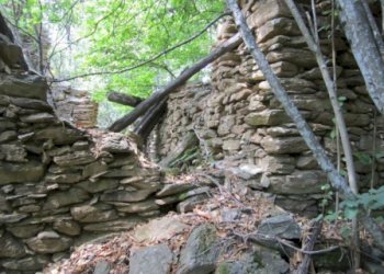 Rif 421.10.JPG - Terreno agricolo Sassello - foto 8