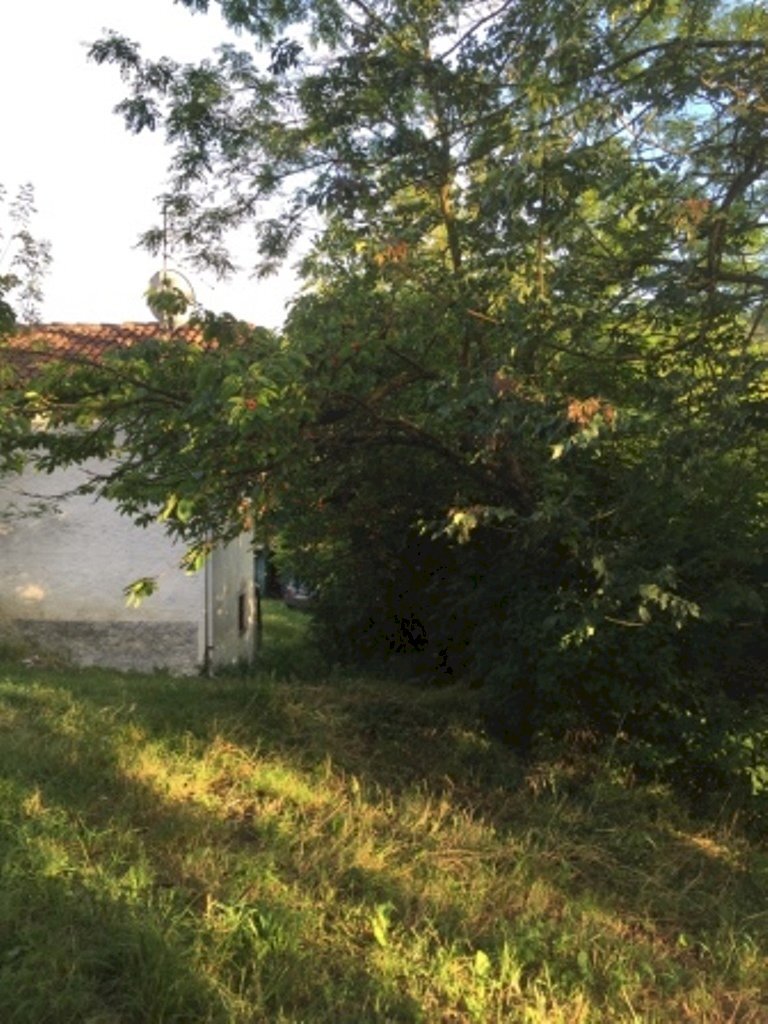 IMG_1402.JPG - Apartment via piazze 1, Cremolino - photo 2