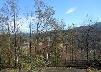 Rif 263 24.JPG - Appartamento Urbe - foto 25