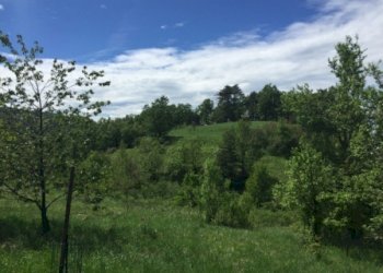 Rif 231.27.JPG - Appartamento Sassello - foto 13