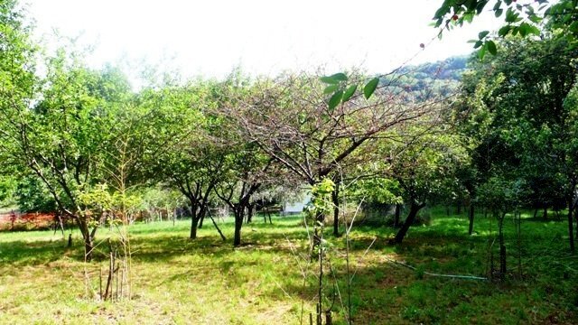 Rif 183 3.JPG - Villa Stella - foto 3