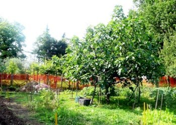 Rif 183 4.JPG - Villa Stella - foto 4