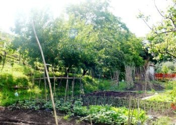 Rif 183 5.JPG - Villa Stella - foto 5