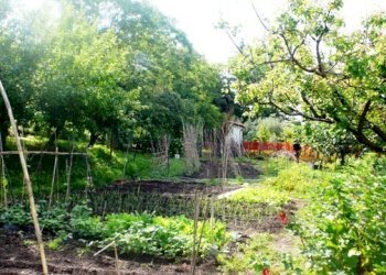 Rif 183 6.JPG - Villa Stella - foto 6