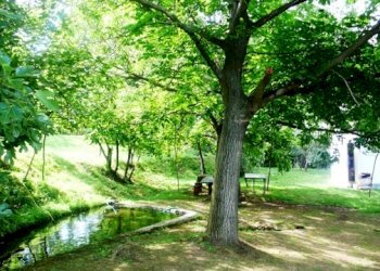 Rif 183 8.JPG - Villa Stella - foto 8