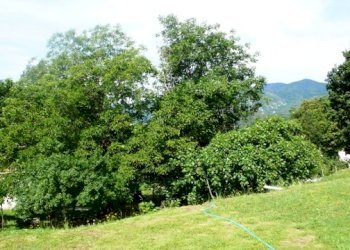 Rif 183 10.JPG - Villa Stella - foto 10