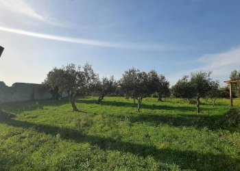 4.jpg - Rustico Modica - foto 5