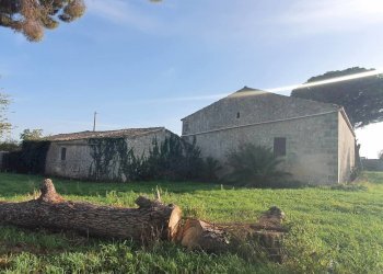 39.jpg - Rustico Modica - foto 18