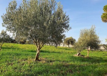 43.jpg - Rustico Modica - foto 22