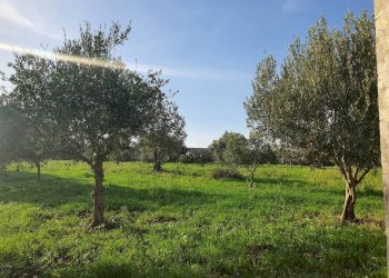 44.jpg - Rustico Modica - foto 23