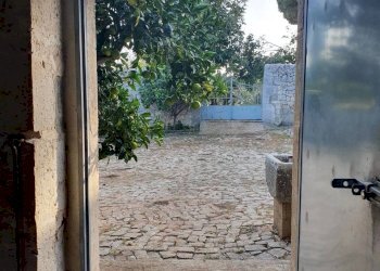 49.jpg - Rustico Modica - foto 26