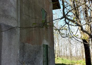 Rif 783 10.jpg - Porzione di casa Sassello - foto 10