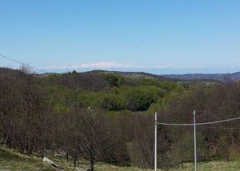 Rif 783 11.jpg - Porzione di casa Sassello - foto 11