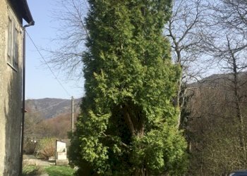 Rif 790 4.JPG - Portion of a house Sassello - photo 4
