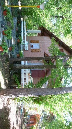 rif.210.jpg - Villa Pareto - foto 2